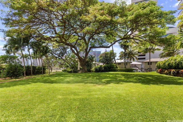 2333 Kapiolani Blvd Unit 1910, Honolulu, HI 96826 - photo 22