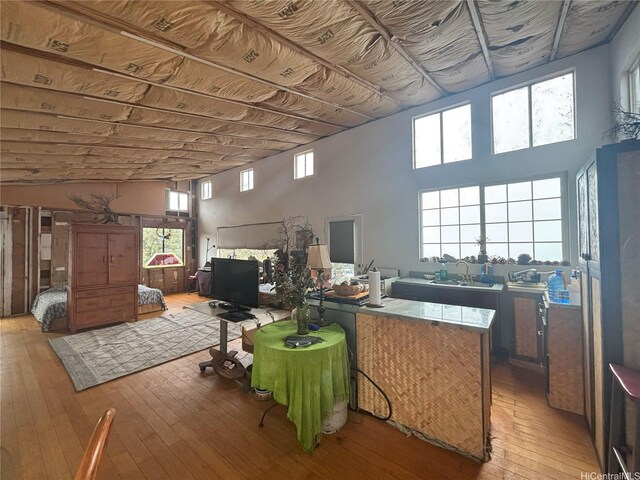92-2428 Palm Pkwy, Captain Cook, HI 96704 - photo 5