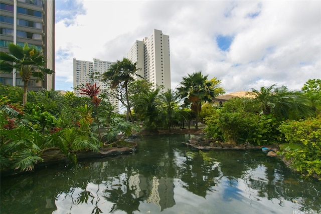 1255 Nuuanu Ave Unit E3014, Honolulu, HI 96817 - photo 21