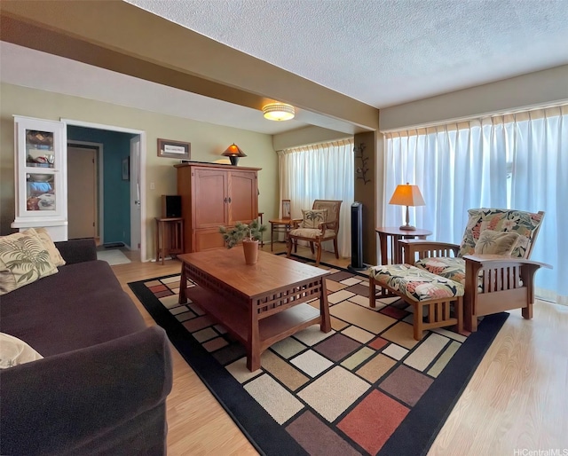 320 Ainakea Way Unit 812, Honolulu, HI 96815 - living room with light wood-style floors and a textured ceiling