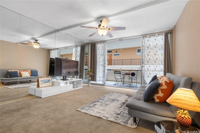 430 Kaiolu St Unit 505, Honolulu, HI 96815 - living room with a ceiling fan and carpet