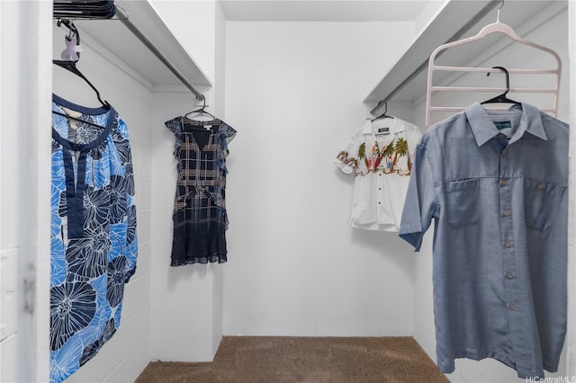 430 Kaiolu St Unit 505, Honolulu, HI 96815 - spacious closet with carpet floors