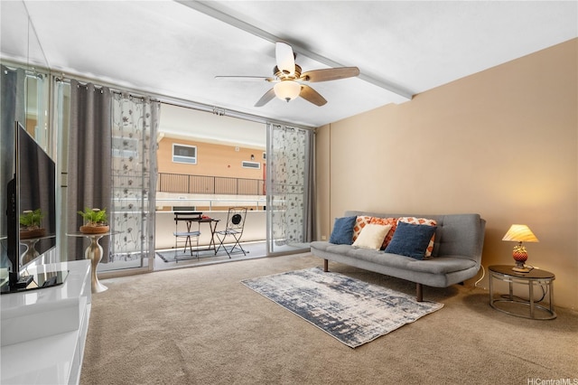 430 Kaiolu St Unit 505, Honolulu, HI 96815 - living area with carpet flooring and a ceiling fan