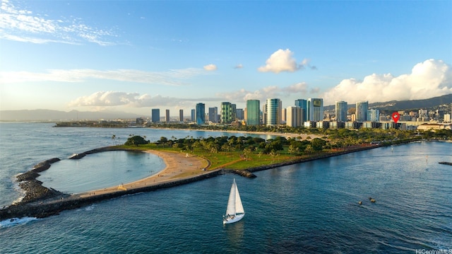 1388 Ala Moana Blvd Unit 3401, Honolulu, HI 96814 - photo 22