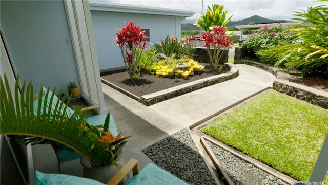 46-146 Hinalani Pl, Kaneohe, HI 96744 - view of yard