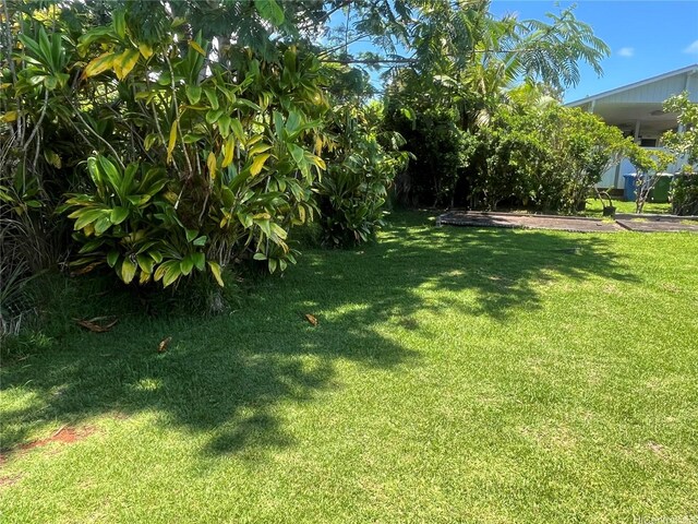 117 Kaliko Dr, Wahiawa, HI 96786 - photo 10