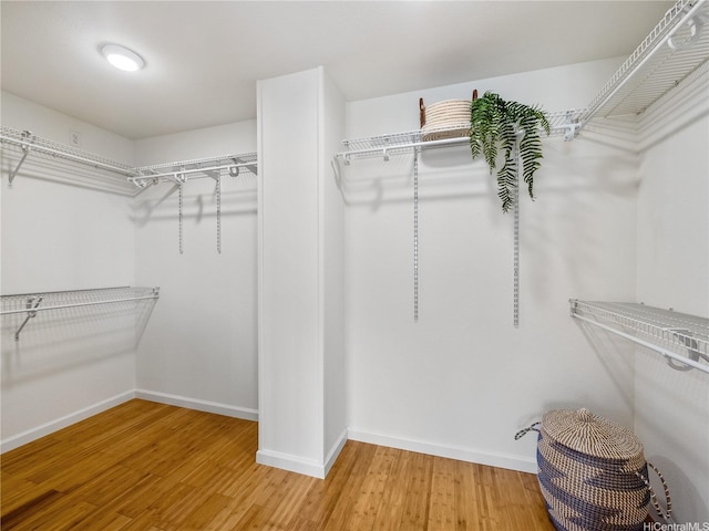 92-1435 Punawainui St, Kapolei, HI 96707 - photo 13
