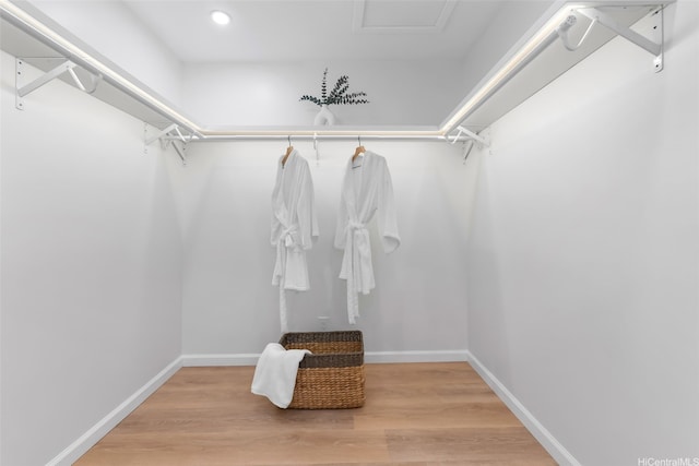 7137 Kamilo St, Honolulu, HI 96825 - photo 16
