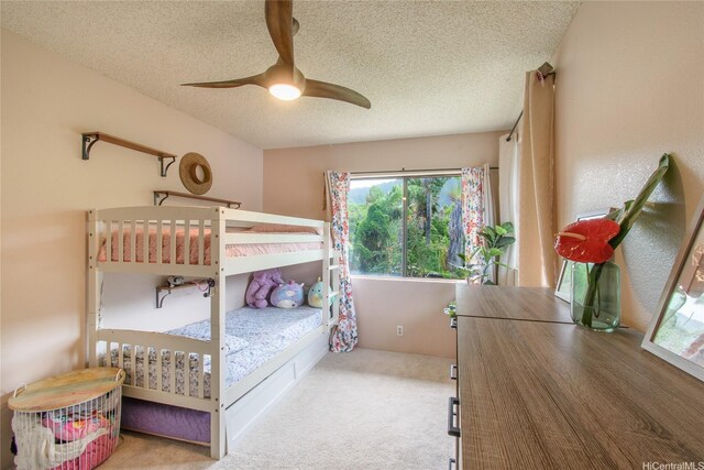 47-784 Kamehameha Hwy, Kaneohe, HI 96744 - photo 13