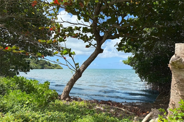 47-784 Kamehameha Hwy, Kaneohe, HI 96744 - photo 17