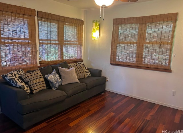 16-1873 34th Ave, Keaau, HI 96749 - living room featuring wood finished floors and ceiling fan