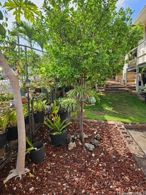 3844 Likini St, Honolulu, HI 96818 - view of grassy yard