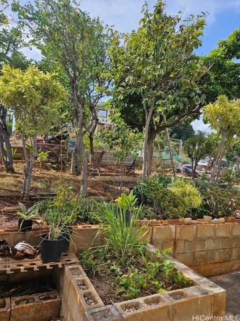 3844 Likini St, Honolulu, HI 96818 - view of yard