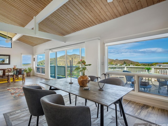 1319 Auwaiku St, Kailua, HI 96734 - sunroom with wood finished floors, wood ceiling, and a deck with mountain view