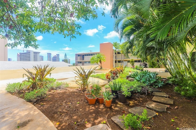 1423 Emerson St Unit 105, Honolulu, HI 96813 - view of yard