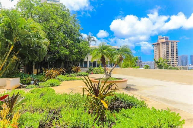 1423 Emerson St Unit 105, Honolulu, HI 96813 - surrounding community featuring a city view