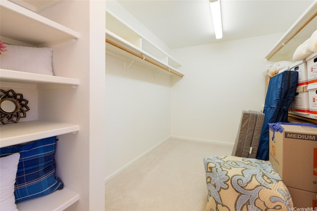 92-1318 Hauone St, Kapolei, HI 96707 - spacious closet featuring carpet flooring