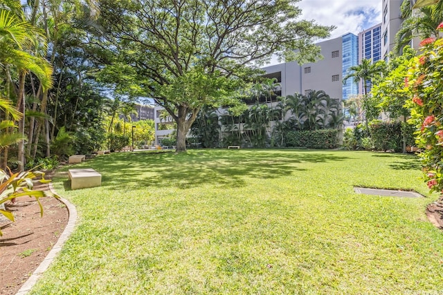 1133 Waimanu St Unit 2503, Honolulu, HI 96814 - view of green lawn