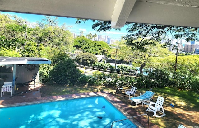 2056 Manoa Rd, Honolulu, HI 96822 - swimming pool featuring a view of city