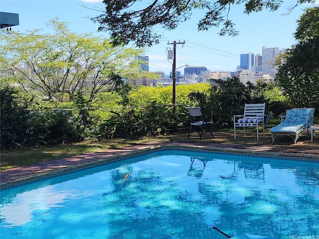 2056 Manoa Rd, Honolulu, HI 96822 - swimming pool featuring a city view