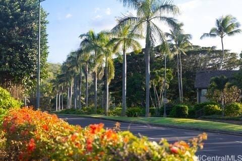 57-101 Kuilima Dr Unit 168, Kahuku, HI 96731 - view of basketball court