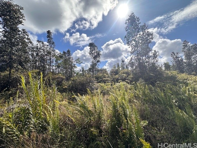 0000 Bamboo Dr, Pahoa, HI 96778