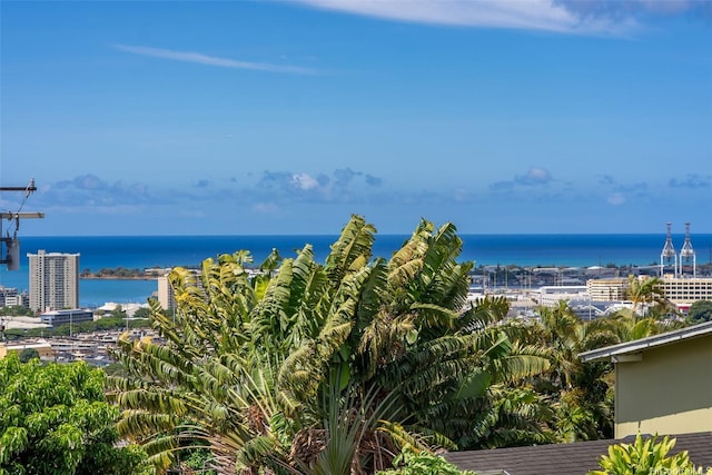 2117 Aulii St, Honolulu, HI 96817 - water view