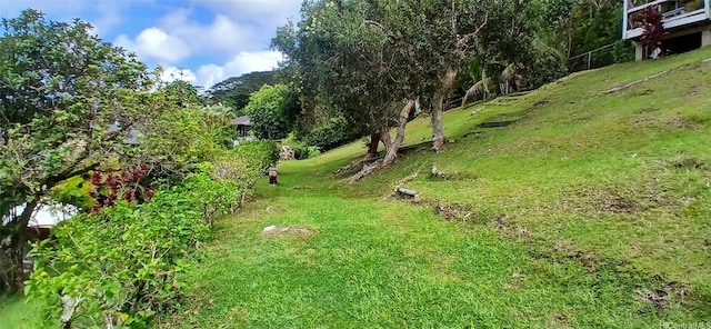 46-046 Puulau Pl, Kaneohe, HI 96744 - view of green lawn
