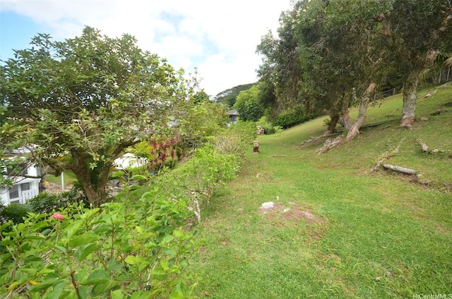 46-046 Puulau Pl, Kaneohe, HI 96744 - photo 21