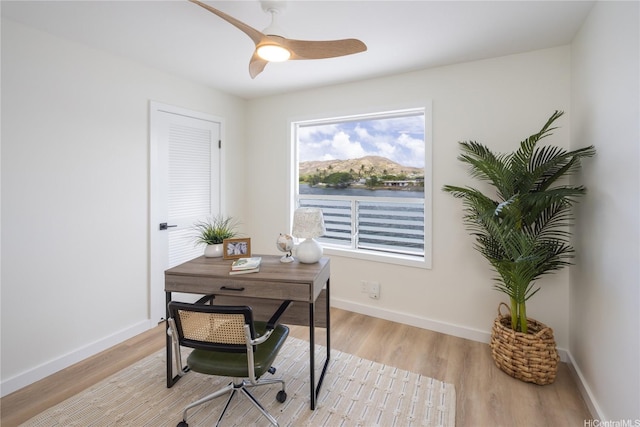 539 Keolu Dr Unit C, Kailua, HI 96734 - photo 18