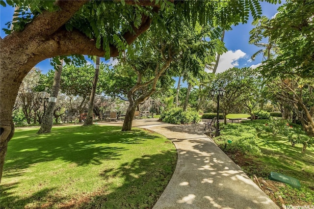 250 Kawaihae St Unit 1D, Honolulu, HI 96825 - photo 17