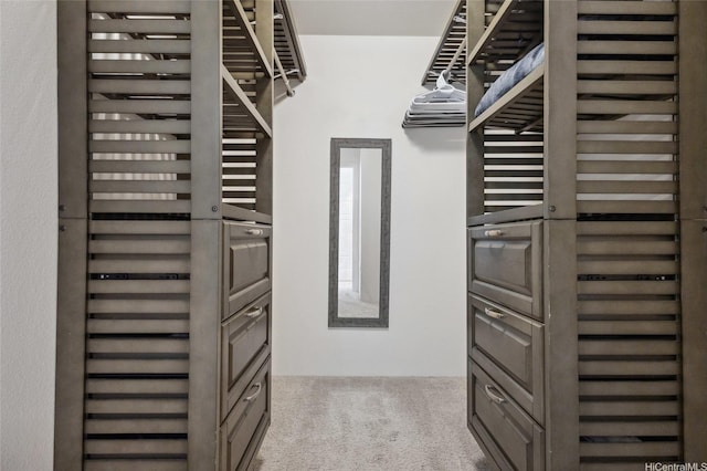 642 Kakala St Unit 1311, Kapolei, HI 96707 - walk in closet with carpet flooring