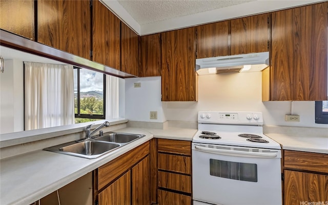 5090 Likini St Unit 501, Honolulu, HI 96818 - kitchen featuring white electric stove, under cabinet range hood, light countertops, a textured ceiling, and brown cabinetry
