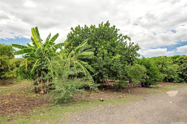 86-347 Halona Rd, Waianae, HI 96792