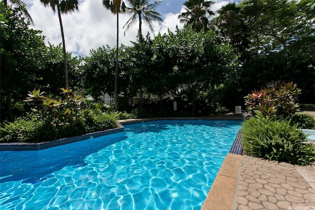 555 Hahaione St Unit 5C, Honolulu, HI 96825 - photo 16
