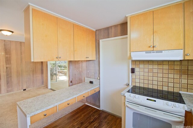 2410 Halenoho Pl, Honolulu, HI 96816 - kitchen featuring white electric range oven, under cabinet range hood, backsplash, wooden walls, and light countertops