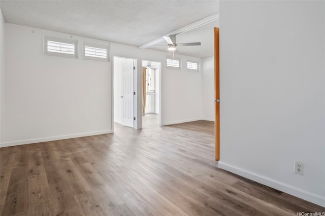 1215 Alexander St Unit 204, Honolulu, HI 96826 - below grade area with ceiling fan, wood finished floors, and a textured ceiling
