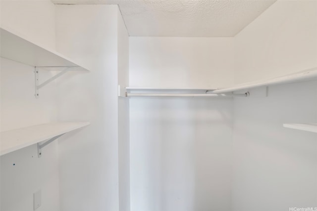 1215 Alexander St Unit 204, Honolulu, HI 96826 - view of walk in closet