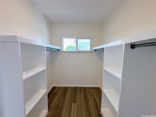 813 20th Ave, Honolulu, HI 96816 - walk in closet with wood finished floors