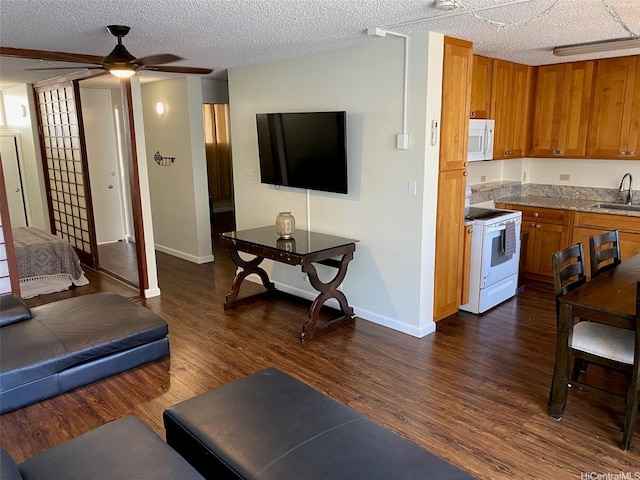 1026 Kalo Pl Unit 506, Honolulu, HI 96826 - photo 8