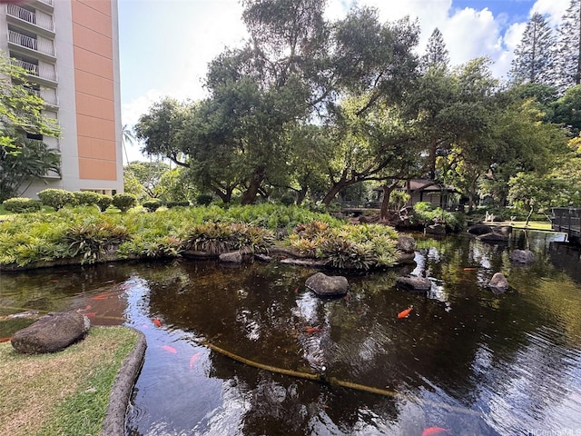 1519 Nuuanu Ave Unit 1146, Honolulu, HI 96817 - view of property's community