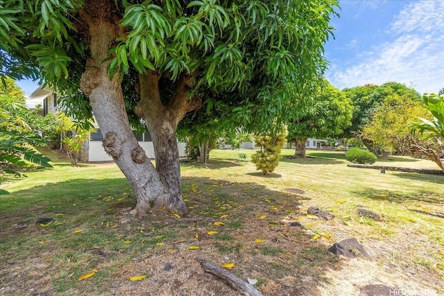 101 Kawananakoa Pl, Honolulu, HI 96817 - view of green lawn