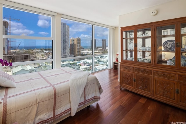 909 Kapiolani Blvd Unit 2002, Honolulu, HI 96814 - bedroom with a wall of windows, dark wood-style floors, and a city view