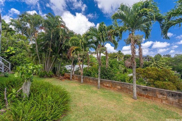 4845 Sierra Dr, Honolulu, HI 96816 - view of green lawn