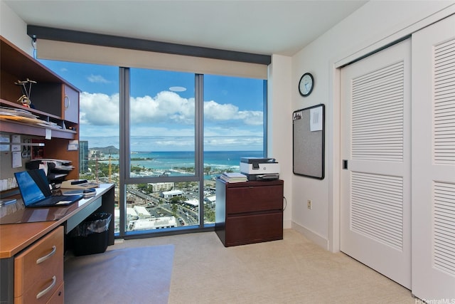 600 Ala Moana Blvd Unit 3401, Honolulu, HI 96813 - office space with light colored carpet and a water view