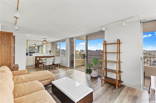 2825 S King St Unit 2504, Honolulu, HI 96826 - living area with rail lighting, healthy amount of natural light, floor to ceiling windows, wood finished floors, and a city view