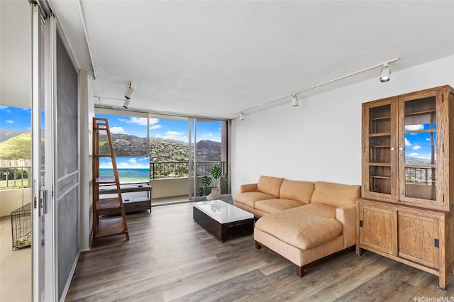 2825 S King St Unit 2504, Honolulu, HI 96826 - living room featuring track lighting, wood finished floors, and expansive windows