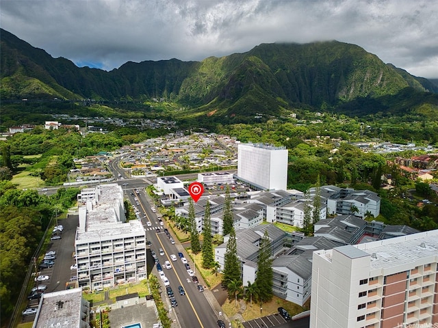 46-267 Kahuhipa St Unit C303, Kaneohe, HI 96744 - mountain view