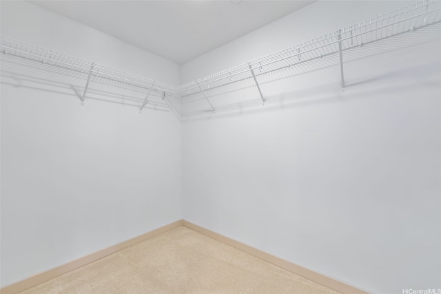 555 S St Unit 2303, Honolulu, HI 96813 - spacious closet with carpet flooring