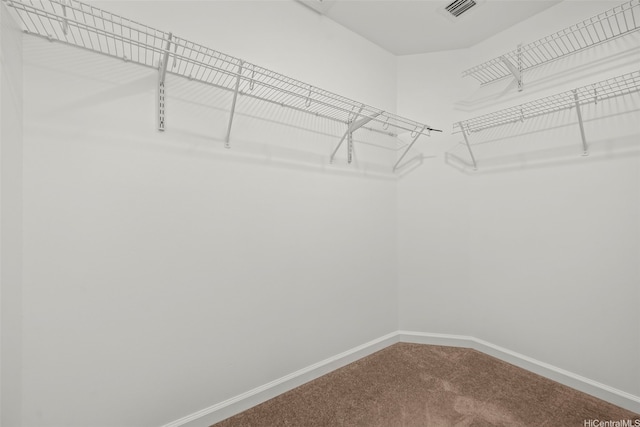91-3082 Makalea Loop Unit 41, Ewa Beach, HI 96706 - walk in closet featuring carpet floors